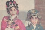 蝶影红梨记 全集