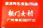 杨门女将 全集下载