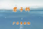 君子桥 全集下载
