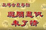 凤阁恩仇未了情 全集下载
