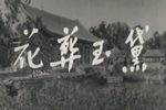 黛玉葬花下载