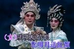 摘缨会下载