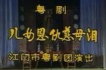 儿女恩仇慈母泪 全集