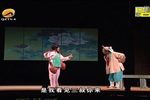 寄子别传 全集