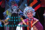 杨令婆监军 下集下载