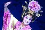 贵妃醉酒下载