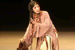 刘智远井边会