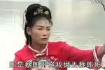 蔡郎别店 7