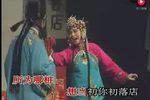 蔡鸣凤辞店的辞店