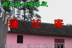 莲花庵 上集下载