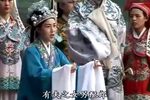 攀龙附凤 3下载