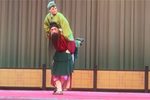 拒招扑火