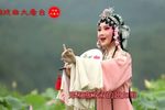 姹紫嫣红 选段