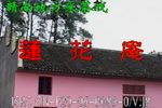 莲花庵 中集