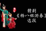 杨八姐游春 选段