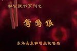 鸳鸯恨 全集
