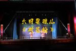 对花枪 选段