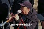 猪八戒背媳妇 选段
