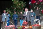 李保国 全集下载
