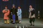 芦花下载