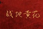 战地黄花 全集
