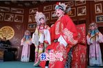 打金枝打宫下载