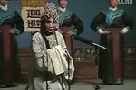 花中君子 全集下载