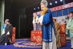 芦花 全集下载