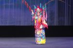 穆桂英挂帅 全集下载