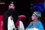 芦花下载