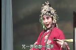相府梦下载