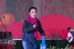 情与理下载