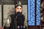 芦花下载