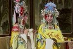 打金枝下载