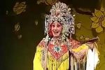 打金枝 全集下载