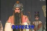 狸猫换太子 全集