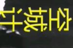 空城计 选段下载