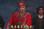 金麟麟下载
