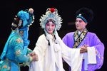 白蛇传 全集下载