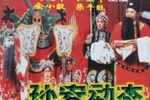 孙安动本下载
