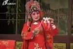 玉蝉泪 全集下载