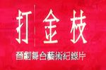 打金枝下载