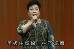 空城计正在城楼观山景下载
