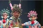 太君辞朝 全集下载