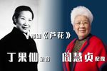 芦花下载