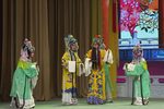 打金枝 下集