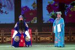 芦花 全集下载