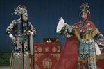 狸猫换太子下载