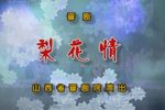梨花情下载