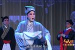 珍珠塔 全集